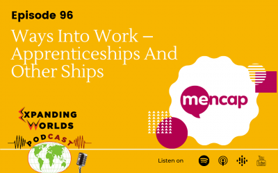 96 Ways Into Work – Apprenticeships And Other Ships