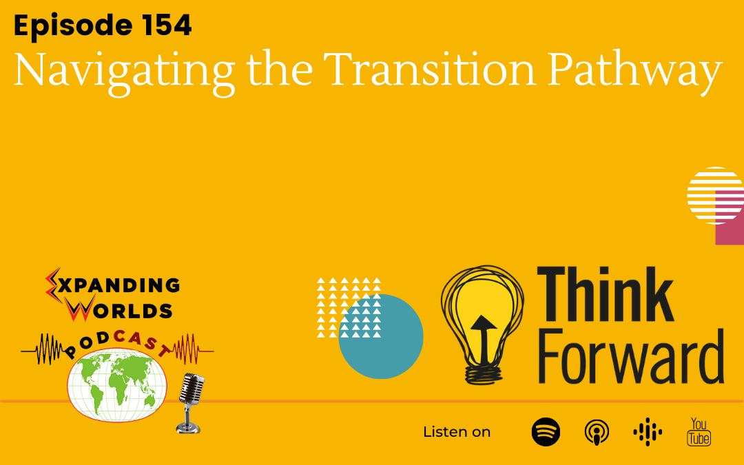 154 Navigating the Transition Pathway with Vinny De Falco from Think Forward