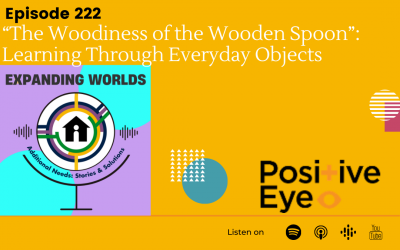 222 “The Woodiness of the Wooden Spoon”: Learning Through Everyday Objects with Gwyn McCormack from Positive Eye