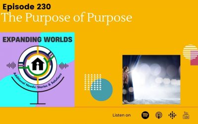 230 The Purpose of Purpose with Debra Caldow